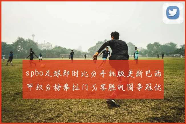 spbo足球即时比分手机版更新巴西甲积分榜弗拉门戈客胜巩固争冠优势