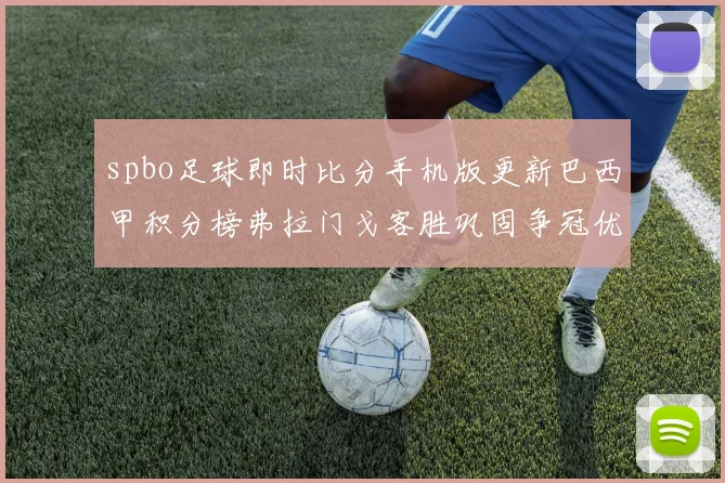 spbo足球即时比分手机版更新巴西甲积分榜弗拉门戈客胜巩固争冠优势